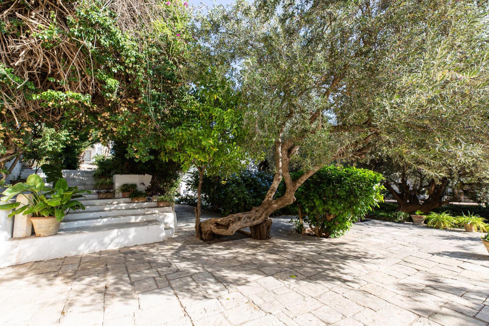 לינה וארוחת בוקר Lella Zohra, Studio Avec Piscine A סידי בו סעיד מראה חיצוני תמונה